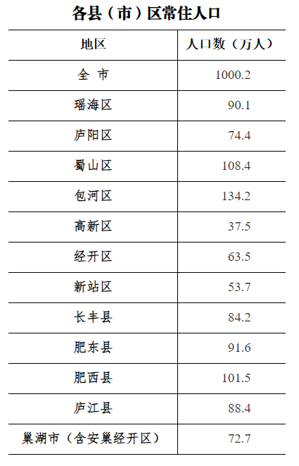 合肥2024年末面积人口调查(图1)