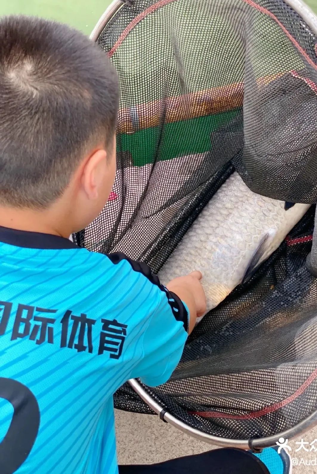 深圳钓鱼攻略：据说35岁的深圳人会爱上这些地方！(图12)