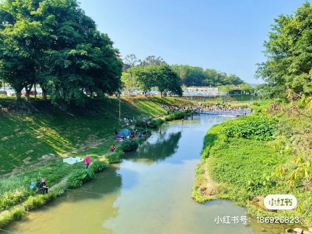 深圳钓鱼攻略：据说35岁的深圳人会爱上这些地方！(图22)