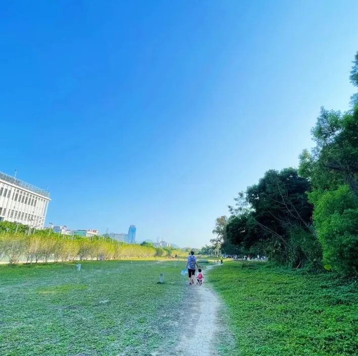深圳钓鱼攻略：据说35岁的深圳人会爱上这些地方！(图24)