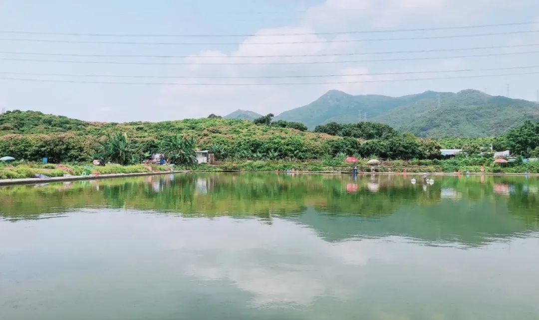深圳钓鱼攻略：据说35岁的深圳人会爱上这些地方！(图9)