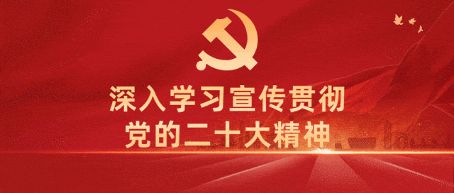 黄伟京到防城港开展扎实推进乡村振兴专项行动和大力推进以县城为重要载体的新型城镇化建设专项行动调研(图2)