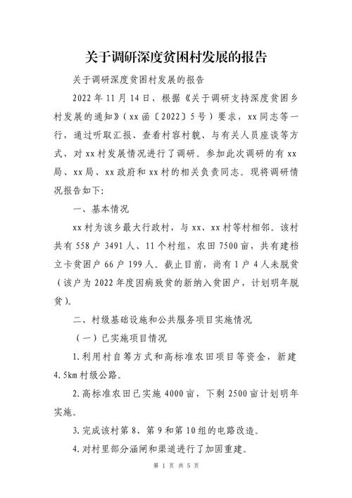 村级农村发展调研报告.docx(图1)