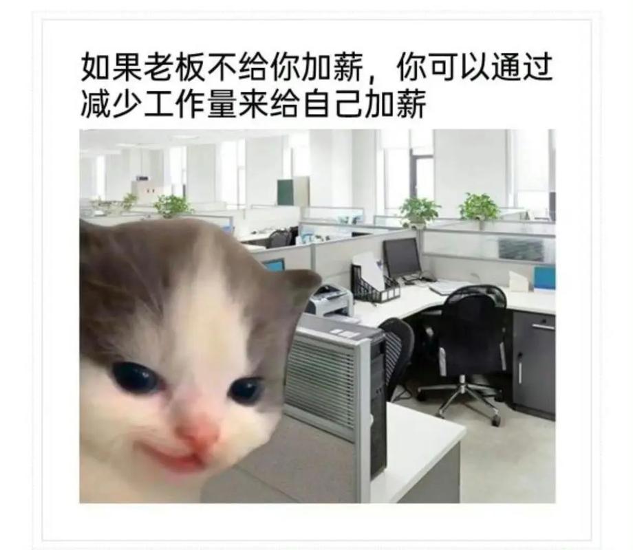 Hi，你好，我是新来的职场菜鸟！(图2)