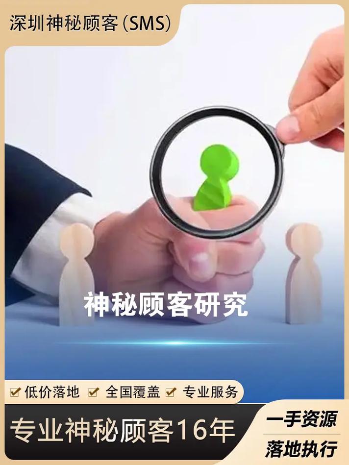 市场调查-市场调研咨询服务(图3)