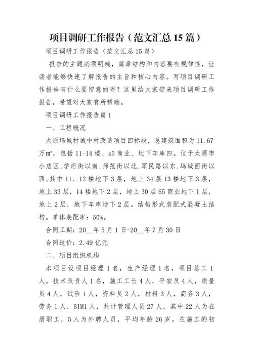 如何写一份项目调研报告(图3)