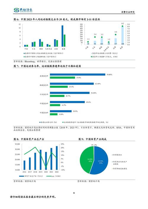 2025年银监市场研究报告(图3)