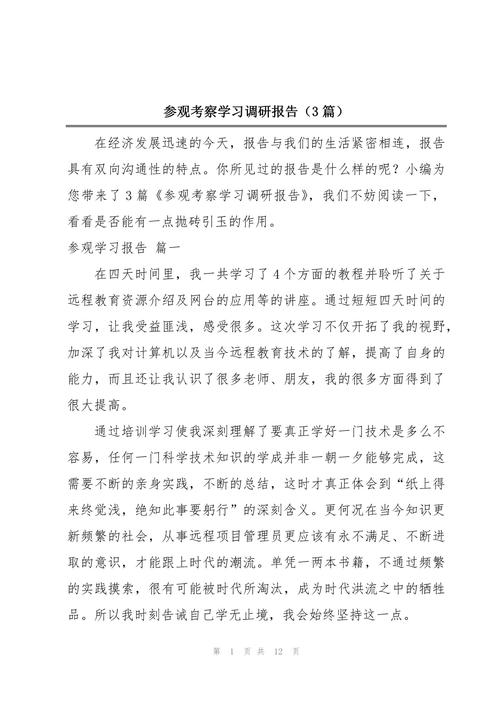参观考察学习调研报告模板.docx(图1)