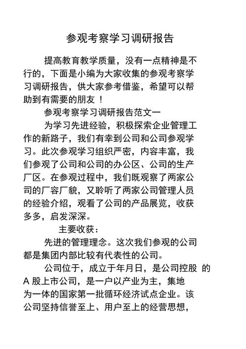 参观考察学习调研报告模板.docx(图3)