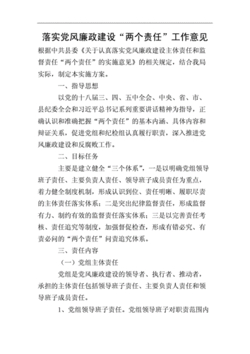 对财政局厉行党风廉政建设两个责任有何意见和建议(图3)