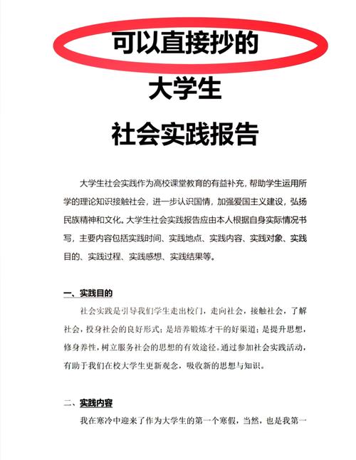社会调查报告(图1)