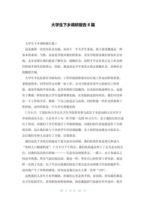 下乡调研报告(图3)