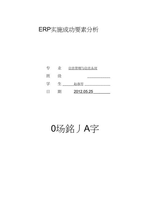 ERP实施成功要素分析(图3)