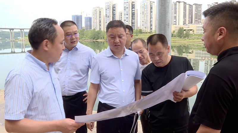 李汀调研红色文化市政景观工程工作(图1)