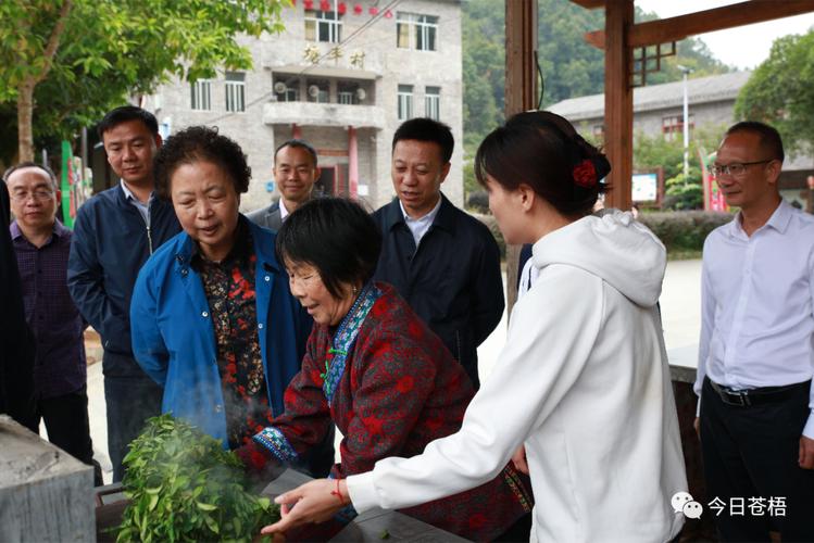 陈际瓦赴大化瑶族自治县调研(图2)