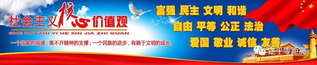 何冬一行深入我县农村敬老院、重度残疾人托养中心进行调研(图2)