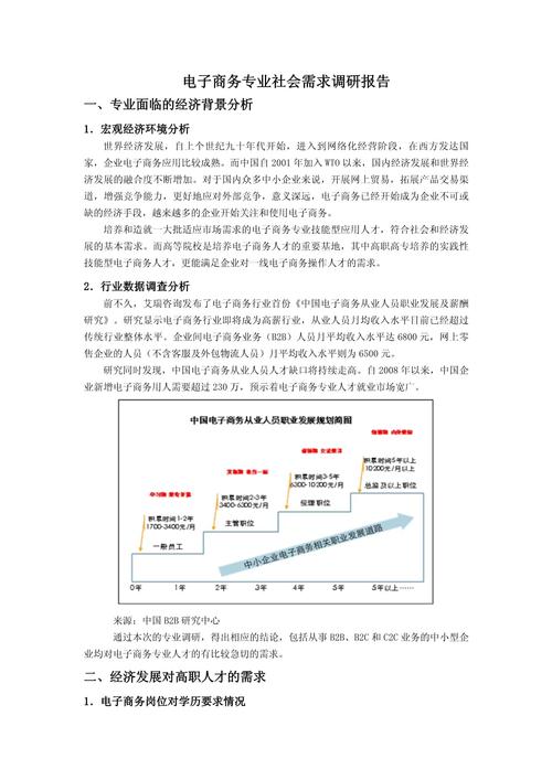 电子商务调研报告篇6(图3)