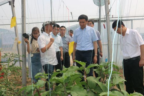 县领导深入成集镇开展调研活动(图2)