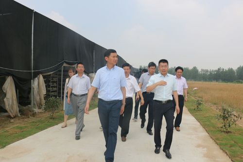 县领导深入成集镇开展调研活动(图3)