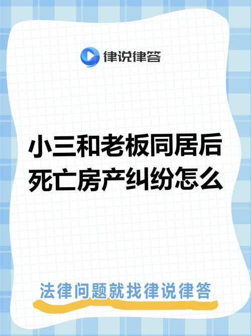 非法同居财产分割