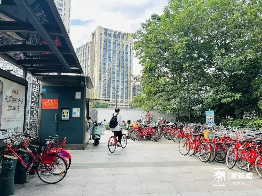 杭州公共自行车服务点_小红车17年发展历程_杭州公共自行车服务现状调查分析