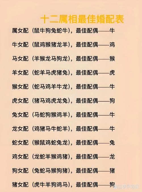 十二生肖最佳配对指南_解密属相婚配的秘密_十二生肖婚姻最佳配对