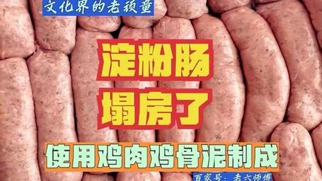 _淀粉肠对身体好吗_肠里的淀粉